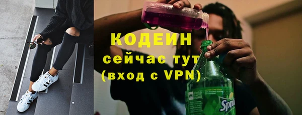 трава Арсеньев