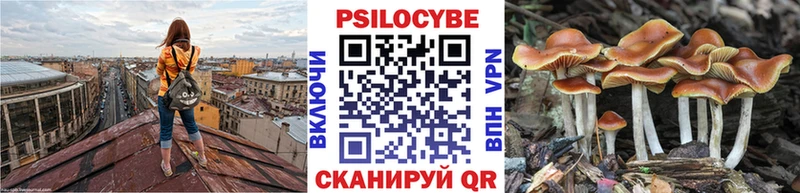 Галлюциногенные грибы Cubensis  Гуково 