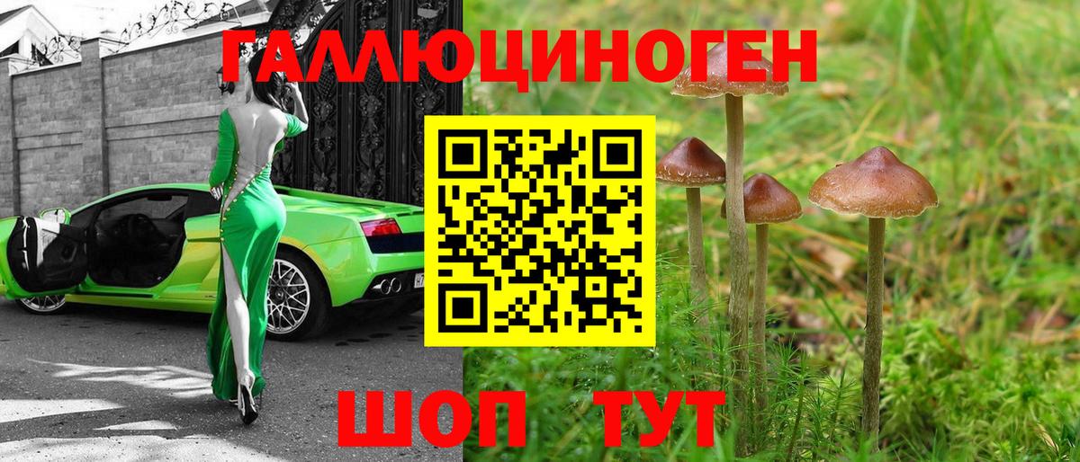 Псилоцибиновые грибы мицелий  магазин  наркотиков  Псилоцибиновые грибы GOLDEN TEACHER  Гуково  Вход с VPN 