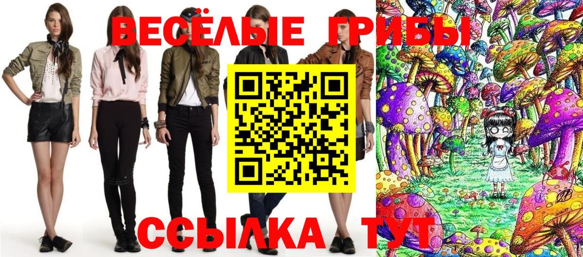 Галлюциногенные грибы Magic Shrooms Гуково